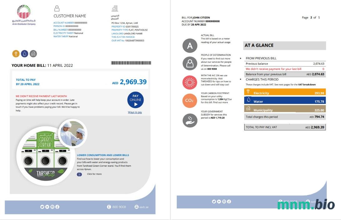 UAE Ajman Al Ain Distribution Co. Szablon rachunku za media Word i PDF (5 stron) 1 2